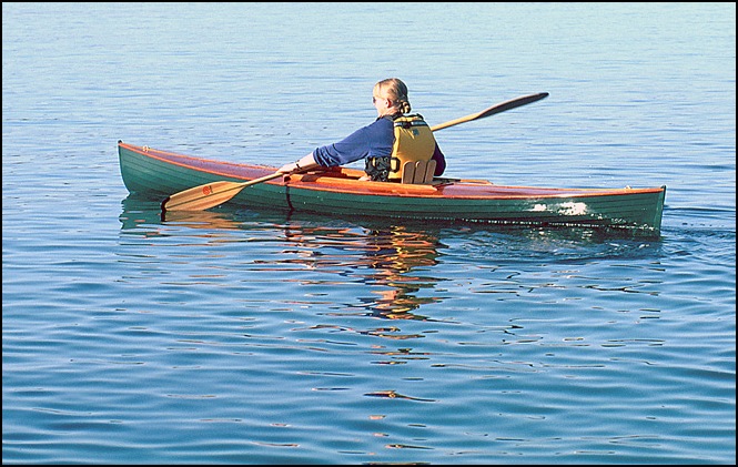 Salicornia, rah paddle
