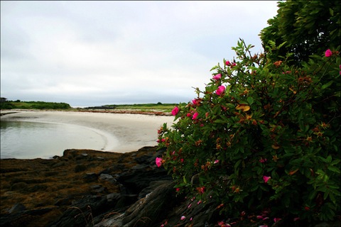 long-island-maine-005