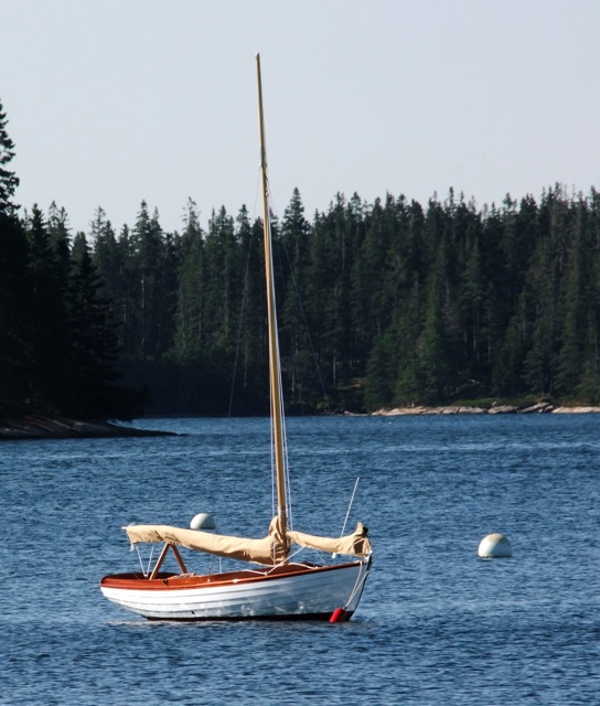 Loading Image