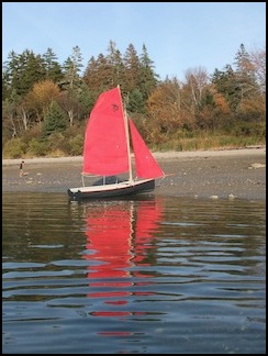 df on beach